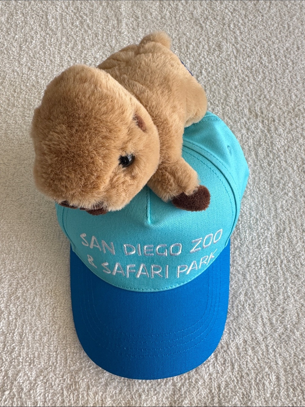 Zoologee San Diego Zoo & Safari Park Teal and Blue Cap Hat with Plush Capybara